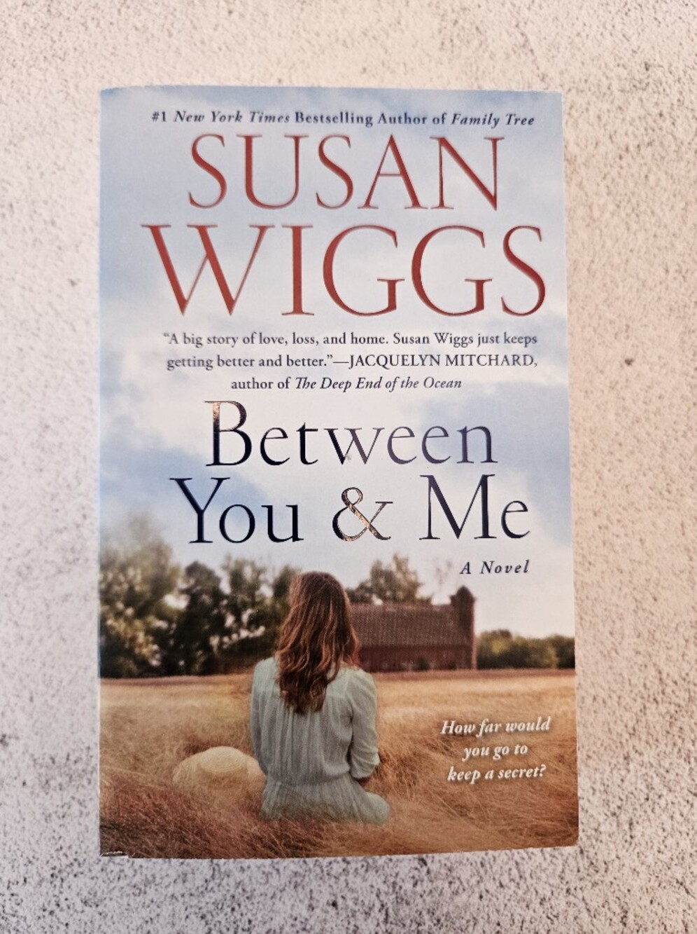 Between You & Me by Susan Wiggs - Brand New Paperback